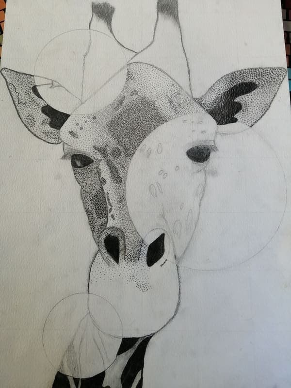 Giraffe, drawing