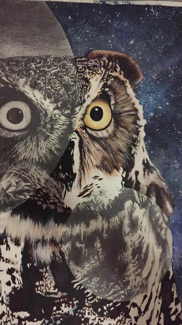Owl collage, mixed media