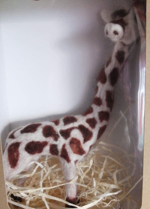 Giraffe in a gift box