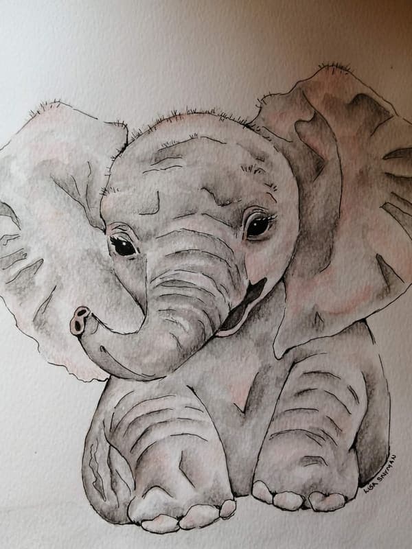 Baby elephant