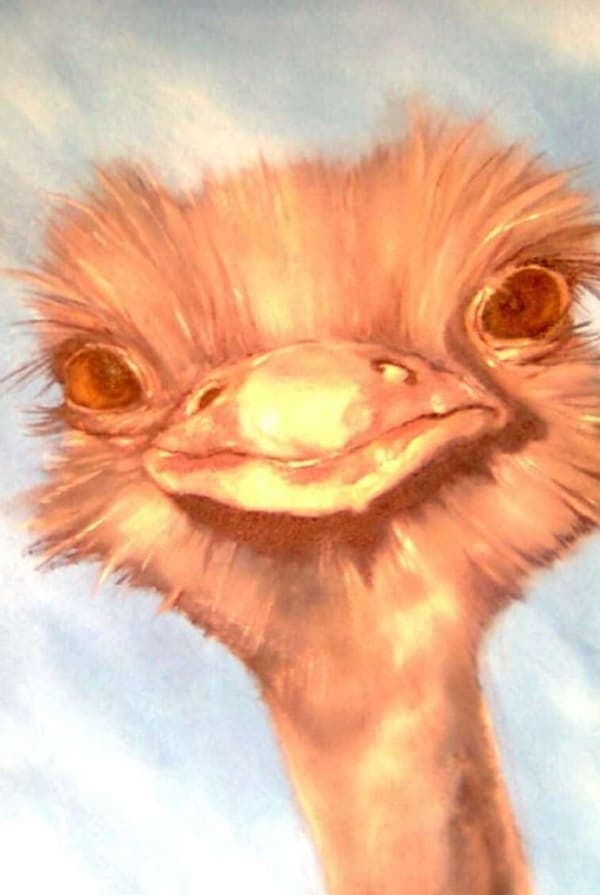 Ostrich