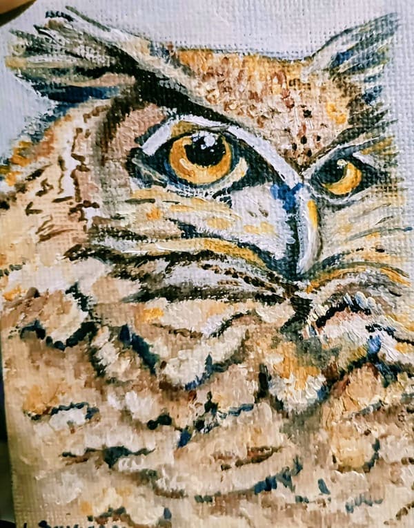 Owl