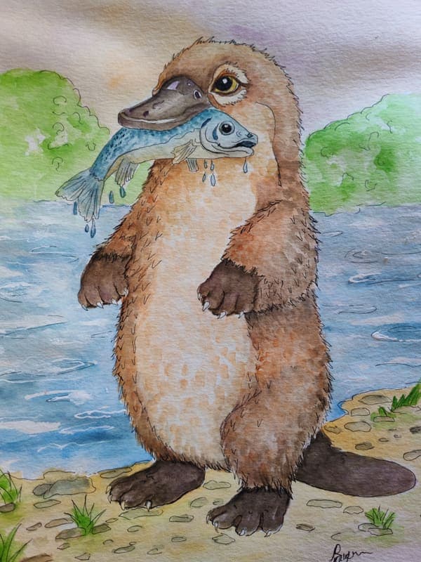 Platypus with his catch