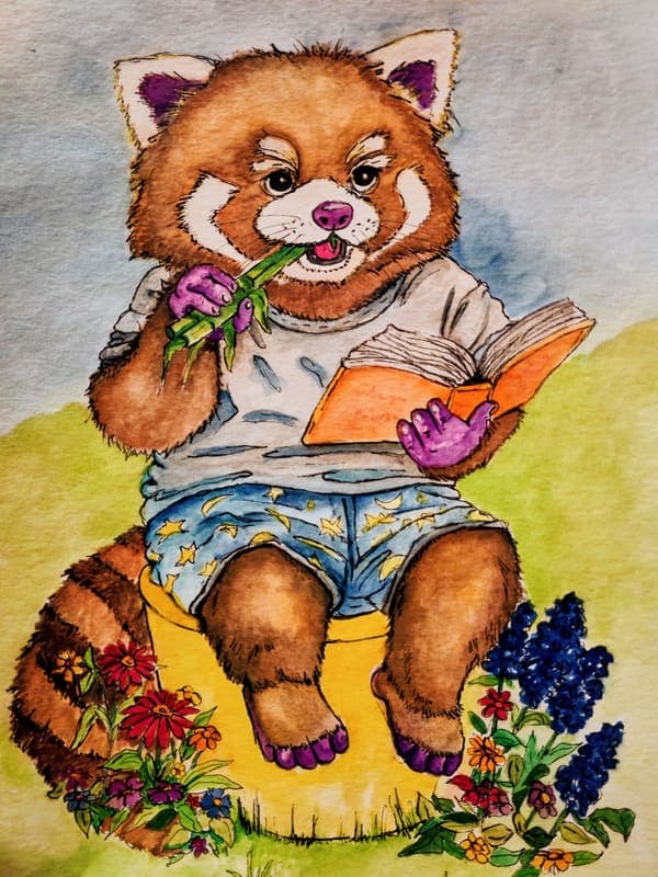 Red panda with a book