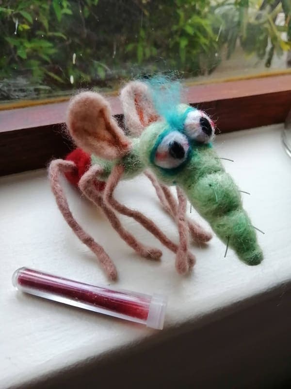 Mosquito