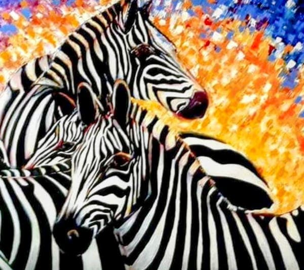 Two zebras