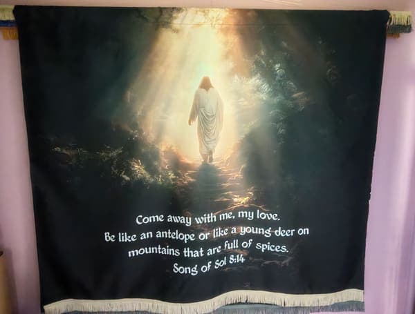 Come away with me, my love (Song of Songs 8:14)