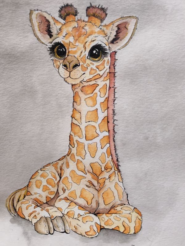 Baby giraffe