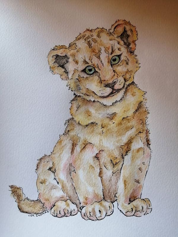 Lion cub