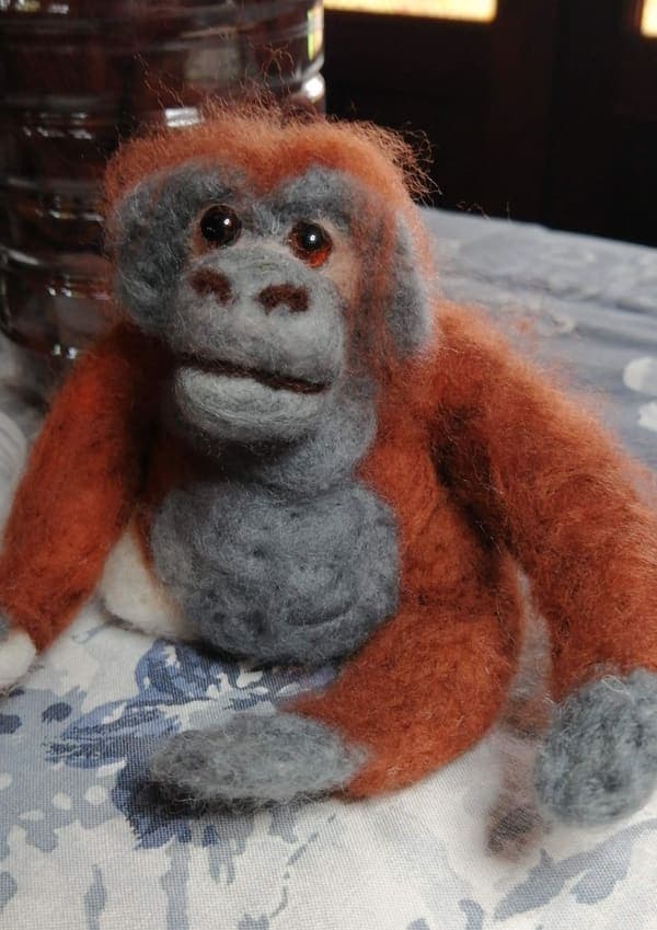 Orangutan
