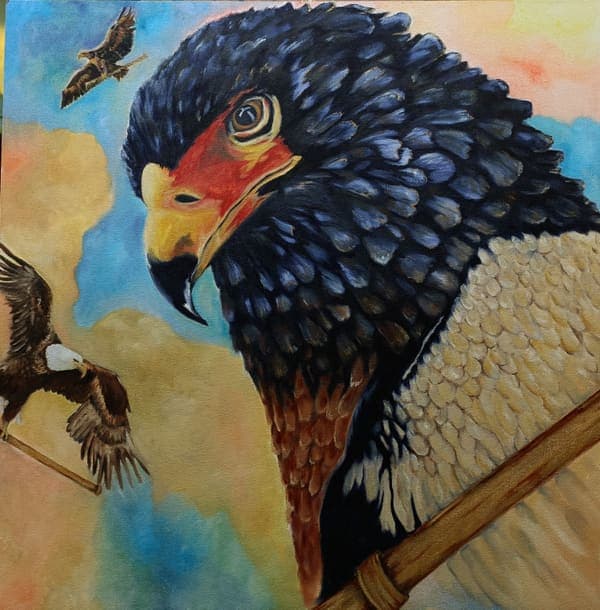 Bateleur eagle