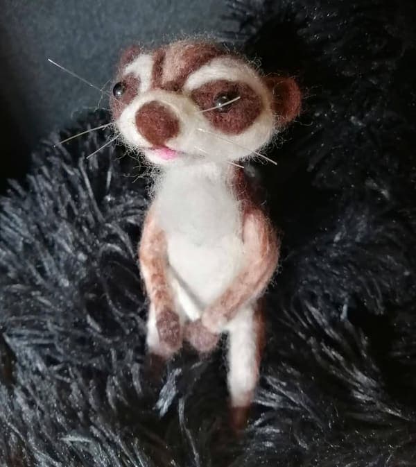 Meerkat on a fluffy cushion