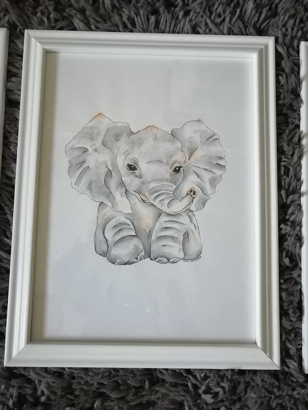 Baby elephant, framed