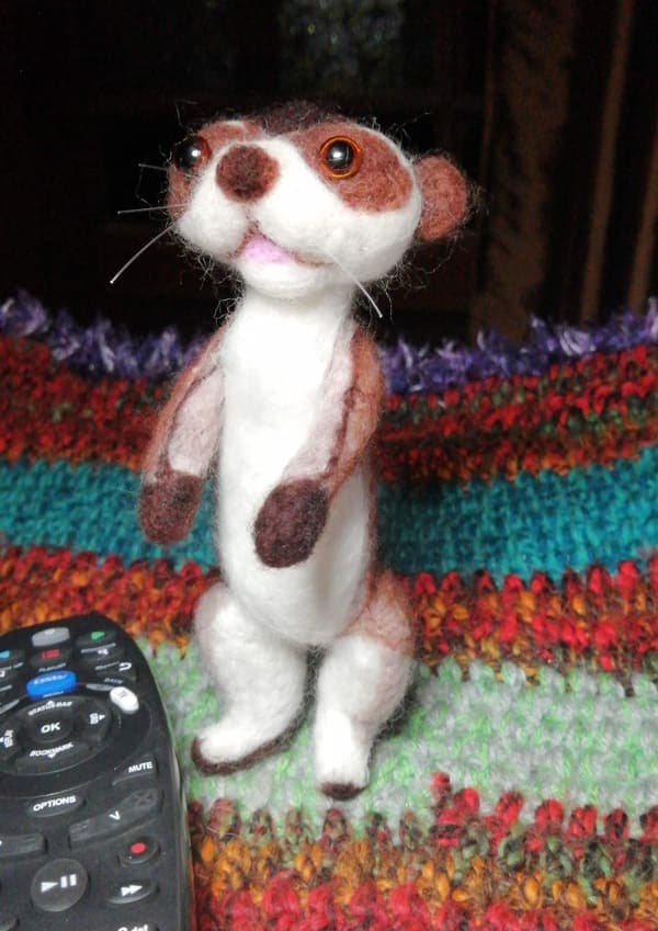 Meerkat