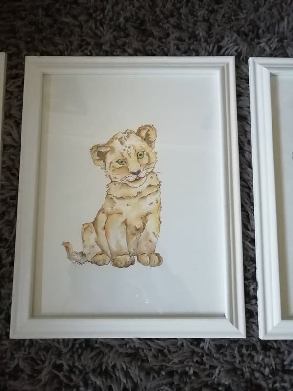 Lion cub, framed