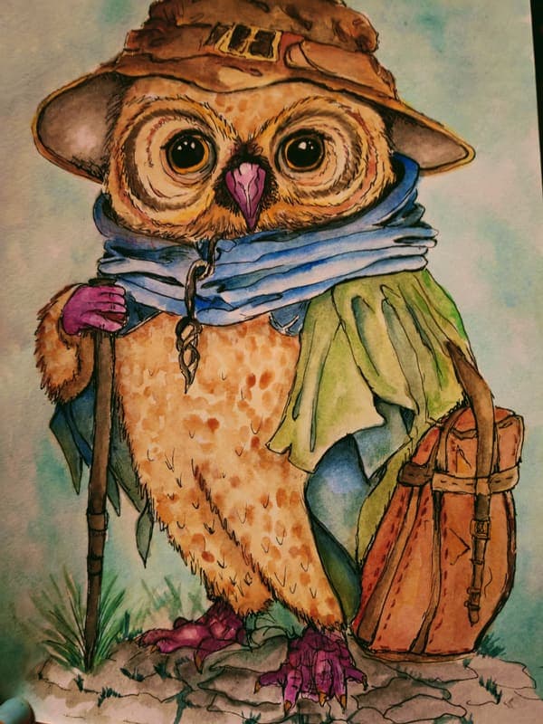 Owl the traveller